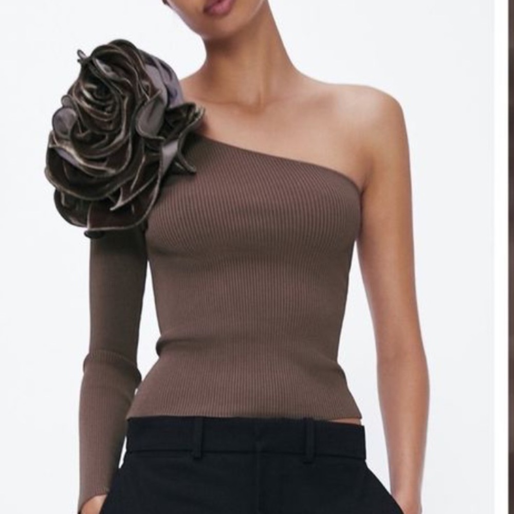 *NWT* Zara Mink Asymmetric Knit Top with a velvet floral detail on the shoulder